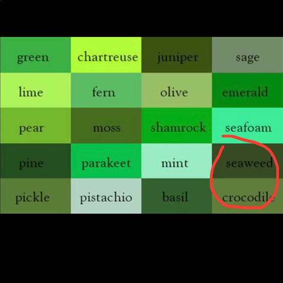 NEW SONOMA Shirt Happy Hour Lucky Lou’s Green Large Tall Men’s - Picture 5 of 12